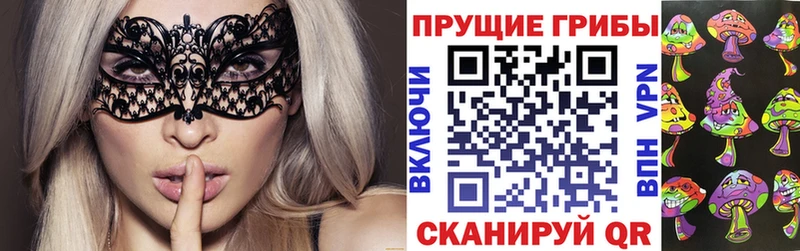 хочу наркоту мега Псилоцибиновые грибы мицелий Тихвин